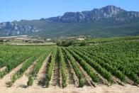 <b>LA RIOJA, SPAIN</b> <br>The region of La Rioja in Spain is known for a variety of wines that take the name Rioja. Interestingly, a winemaker in Rioja developed the first bottled version of the wine-based punch Sangria.