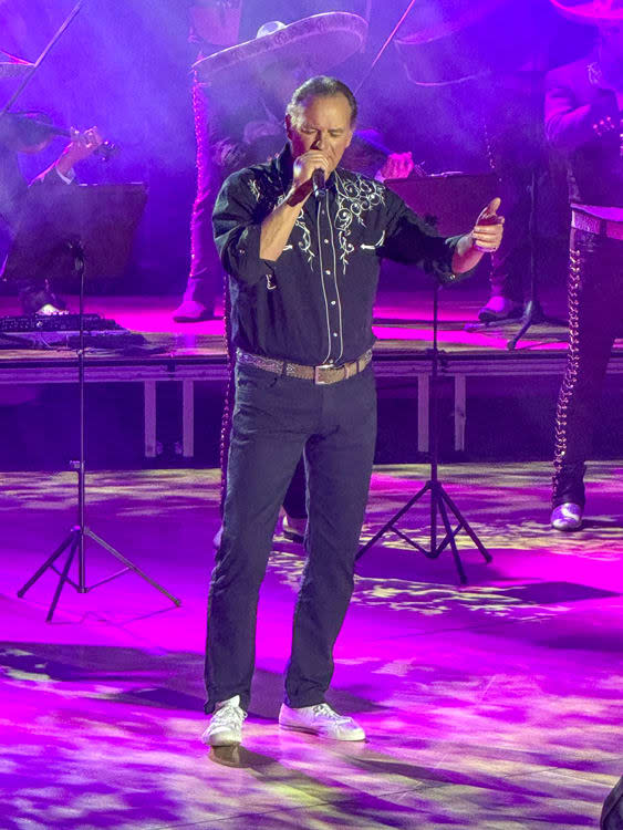 Bertín Osborne, en su concierto de Alicante