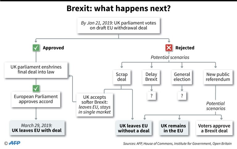 There are several possible next steps next in the Brexit process