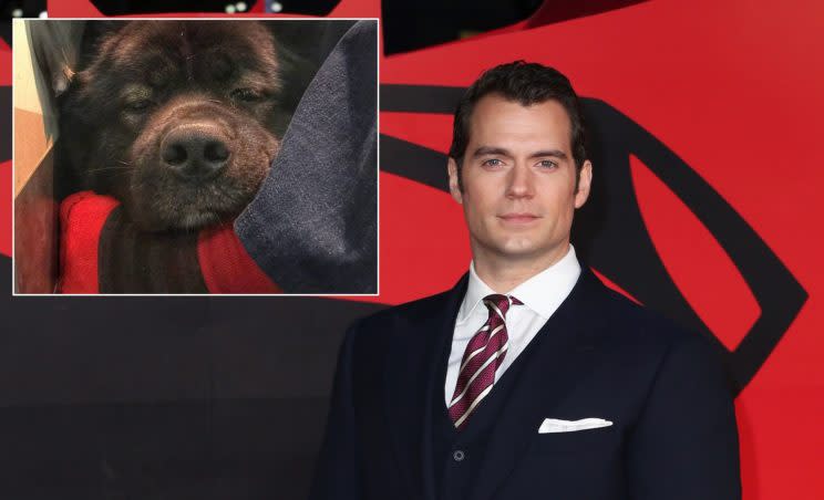 Henry Cavill at the Superman premiere (Photo: Phil Lewis/WENN)