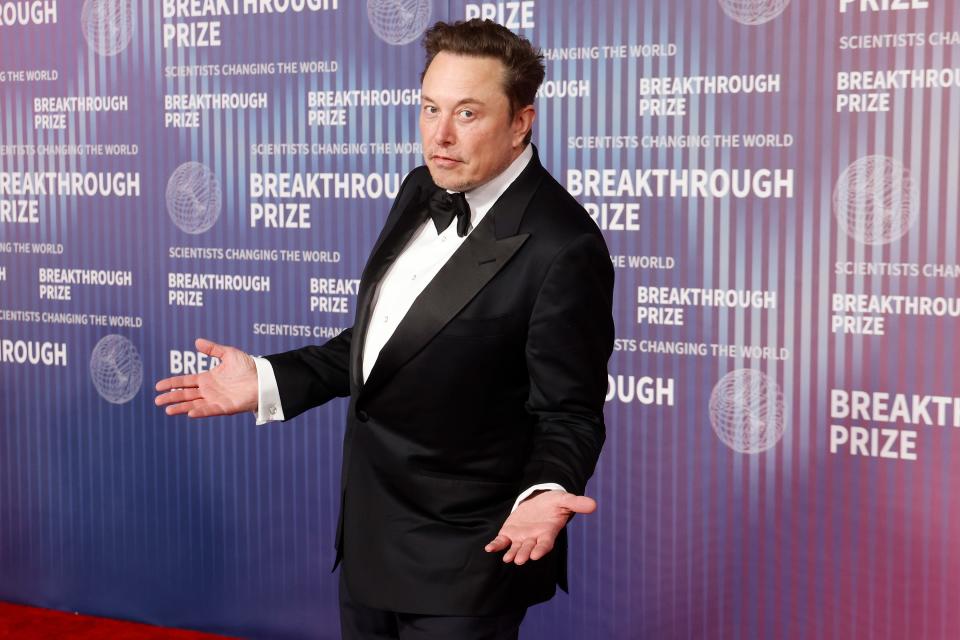 Elon Musk portrait full body