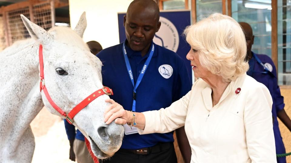 king charles iii and queen camilla visit kenya day 2