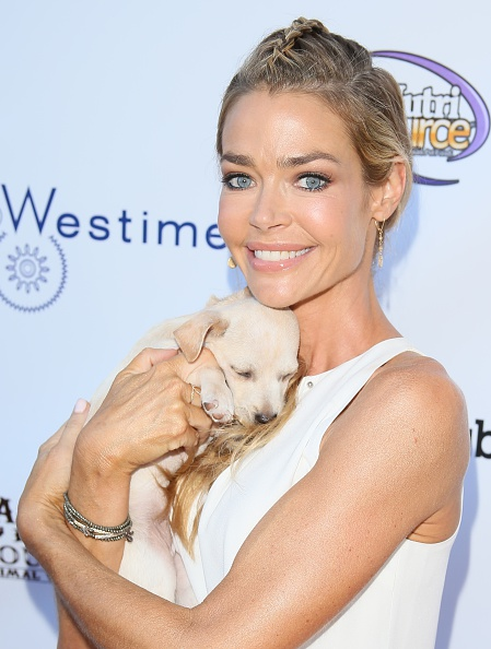 Aunque ahora parecen haber limado sus asperezas, Denise Richards pidió la protección de la corte durante los procedimientos de divorcio de Charlie Sheen en 2006, que fueron famosamente contenciosos.