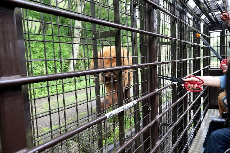 日本富士野生動物園Fuji Safari Park