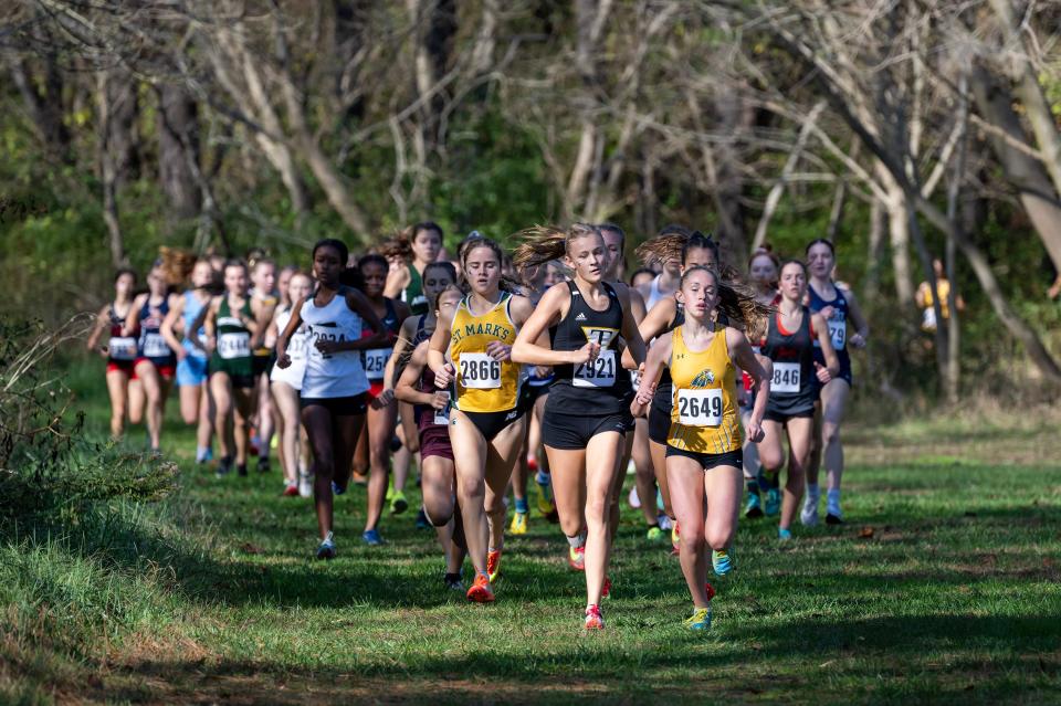 Katie Payne of Tatnall and eventual winner Brynn Crandell of Indian River lead the pack early at the 2022 DIAA Cross Country Division II Championship at Killens Pond State Park in Felton.