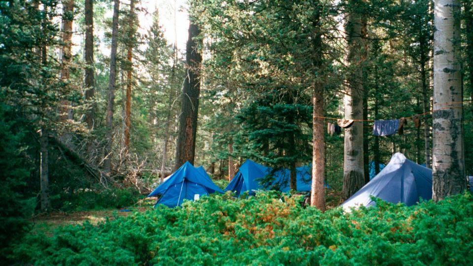 A campsite off the trail to the summit of the second highest peak in New Mexico's Philmont Scout Ranch. Last year, the national Boy Scouts of America confirmed it was using Philmont as collateral for a line of credit for insurance.