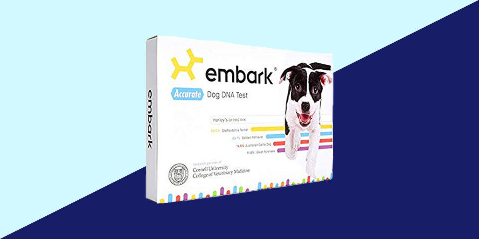 I preferred <a href="https://fave.co/2DqcziQ" target="_blank" rel="noopener noreferrer">Embark&rsquo;s DNA test</a> for the detailed breed information, dog tag and section about &ldquo;relatives&rdquo;. (Photo: Embark)