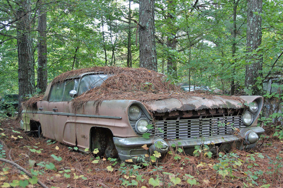 <p>Just 4200 people were prepared to hand over the $5945 needed to buy a 1960 Lincoln Premier four-door <span>saloon </span>hardtop in 1960, which made them an unusual sight on the highways. Of course they’re considerably rarer today, and this is the first example that we’ve uncovered in a salvage yard. But unfortunately this one is unlikely to ever be saved. It has been parked in a forest for decades, and is suffering from terminal tin-worm.</p>