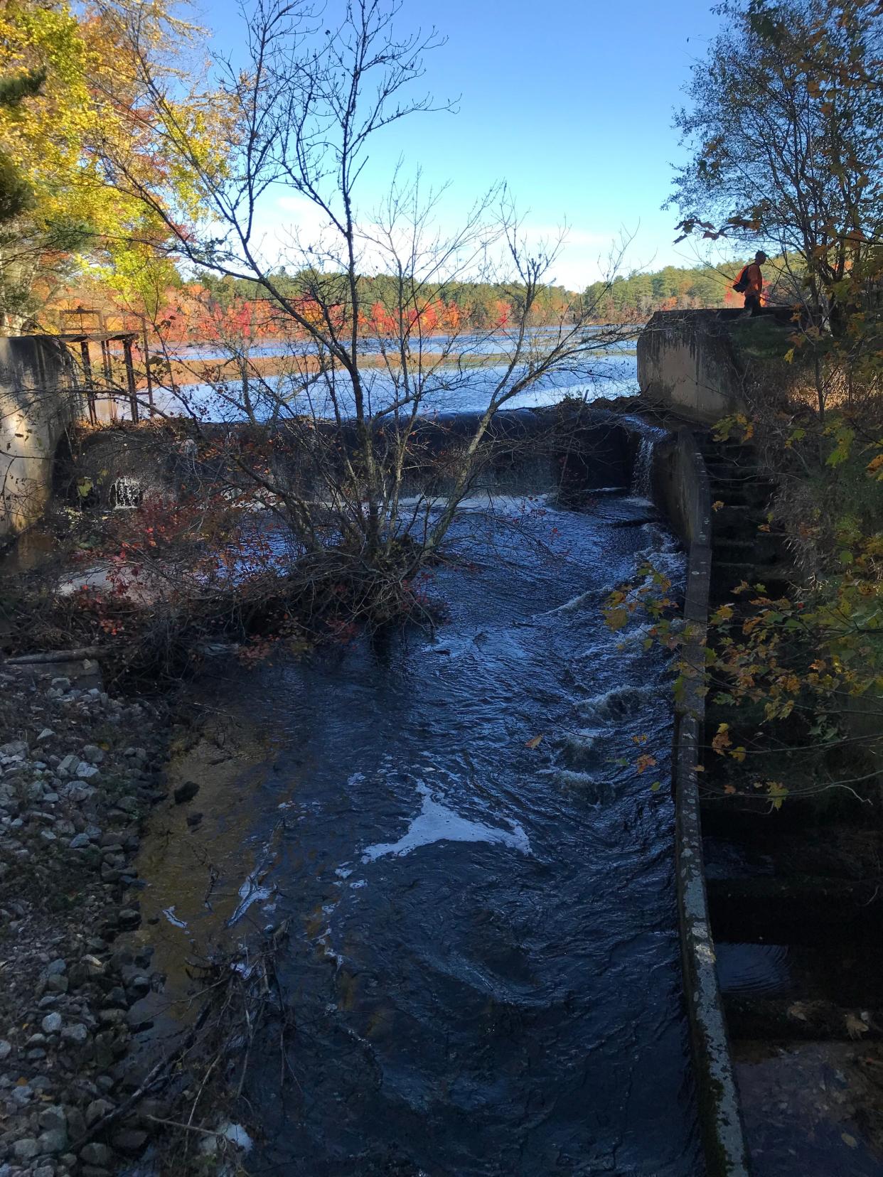 Water flows from Breakheart Pond over a dam with a crumbling fish ladder to form Breakheart Brook.