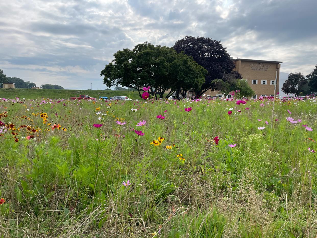 Holland BPW's water treatment plant has replaced some of its turf with native plants to promote water conservation.