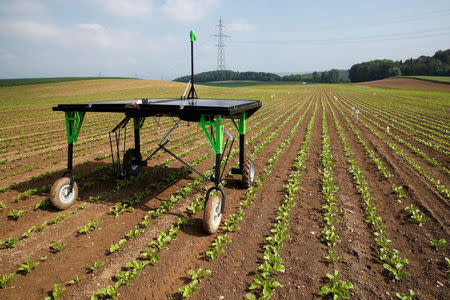 The prototype of an autonomous weeding machine by Swiss start-up ecoRobotix is pictured during tests on a sugar beet field near Bavois, Switzerland May 18, 2018. REUTERS/Denis Balibouse