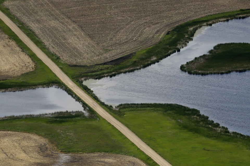 FILE - A road bisects a wetland on June 20, 2019, near Kulm, N.D. A federal judge on Wednesday, April 12, 2023, temporarily blocked a federal rule in 24 states that is intended to protect thousands of small streams, wetlands and other waterways throughout the nation. (AP Photo/Charlie Riedel, File)