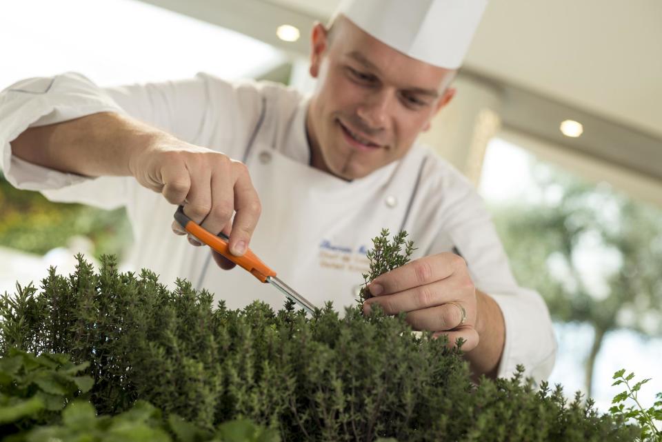 This undated image provided by Crystal Cruises shows a chef on the Crystal Serenity cruise ship snipping fresh herbs from the ship’s onboard herb garden. The herb garden is part of Crystal Cruises’ emphasis on fresh ingredients and flavors, part of a broader trend in the cruise industry to expand culinary offerings with specialty restaurants, menus from celebrity chefs and a greater variety of cuisines. (AP Photo/Crystal Cruises)