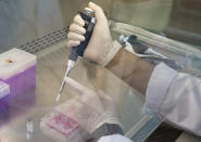 A lab technician extracts a portion of a COVID-19 vaccine candidate during testing at the Chula Vaccine Research Center, run by Chulalongkorn University in Bangkok, Thailand, Monday, May 25, 2020. Researchers in Thailand claim to have promising results with the vaccination on mice, and have begun testing on monkeys. (AP Photo/Sakchai Lalit)