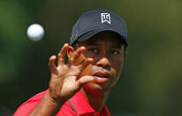 CARMEL, IN - SEPTEMBER 09: Tiger Woods reaches for a golf ball on the practice ground during the final round of the BMW Championship at Crooked Stick Golf Club on September 9, 2012 in Carmel, Indiana. (Photo by Scott Halleran/Getty Images)