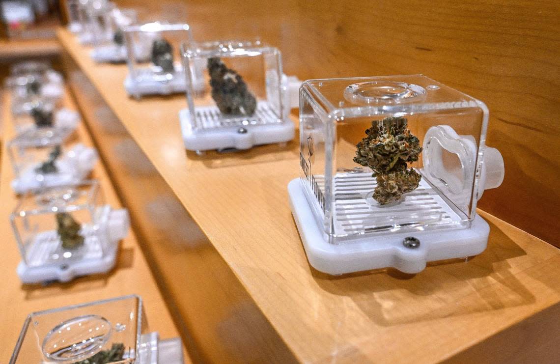 Various strains of marijuana buds are displayed in magnifying boxes on the shelves of a Fresno retail cannabis store in this April 2024 file photo. Fresno has 13 state-licensed retail weed shops as of mid-2024, compared to only two at the same time in 2023.