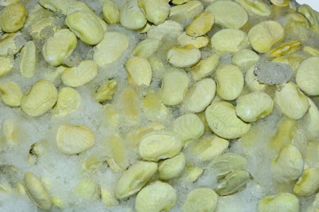 Frozen lima beans with freezer burn and ice due to faulty packaging or improper freezing methods