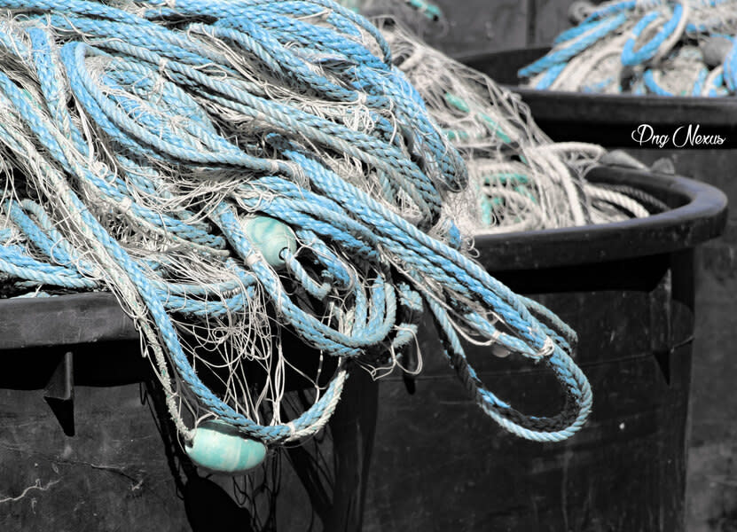 海洋廢棄物對海洋生物造成危害，甚至加速瀕危物種的滅絕。<Photo by Png Nexus on Flickr under C.C. License>