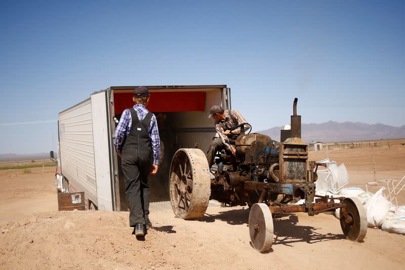 The Wider Image: God's will or ecological disaster? Mexico takes aim at Mennonite deforestation