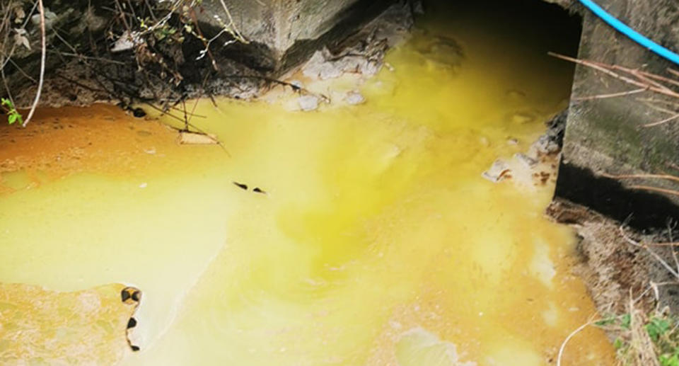 Drain spilling out neon yellow water.