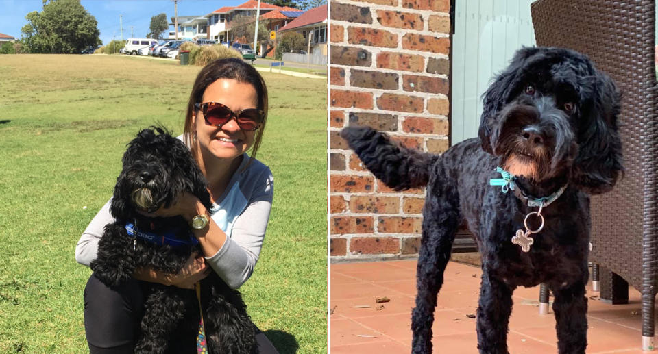 Beatriz George said she could only watch on from inside as the dogs tore apart her beloved Spoodle Chilli. Source: Supplied