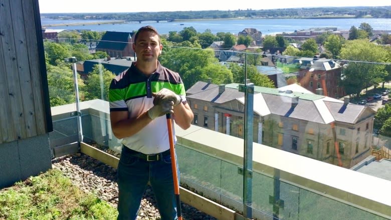 A rooftop meadow: Charlottetown contractor wants to see more green roofs