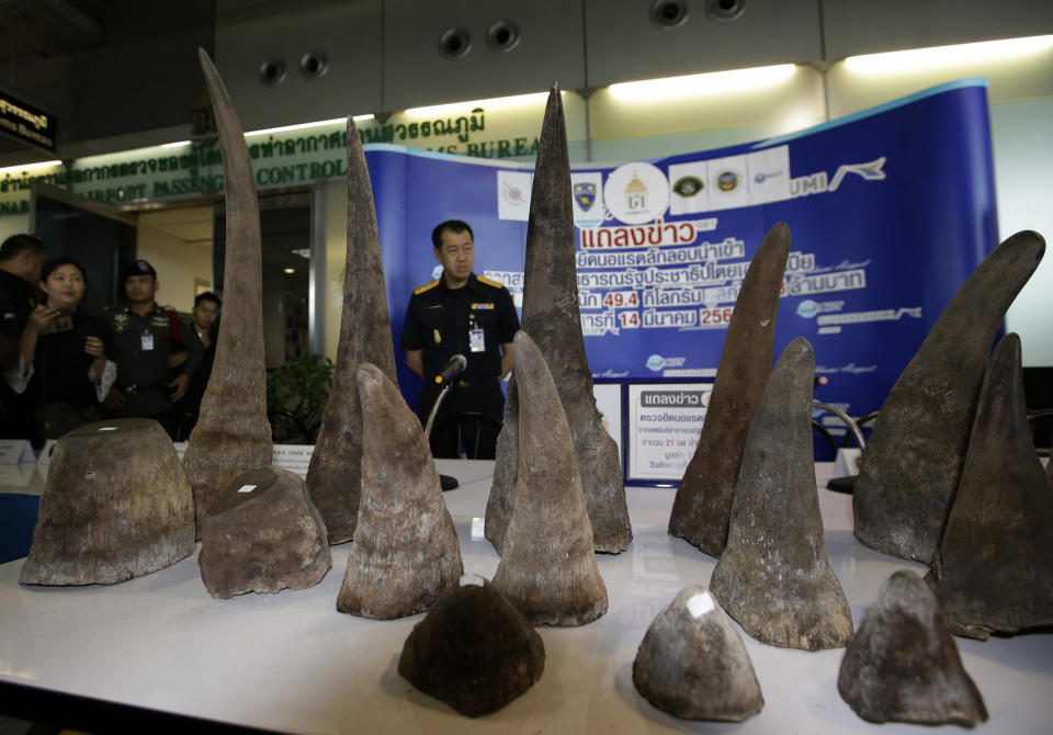 FILE - in this March 14, 2017, file photo, Thai Customs officers stand behind seized rhino horns during a press conference at the customs office at Suvarnabhumi airport, Thailand. A Thai court sentenced three Thais Tuesday, Nov. 20, 2018, to four years in prison over the smuggling of 21 rhinoceros horns worth almost $5 million from Ethiopia. (AP Photo/Sakchai Lalit, File)