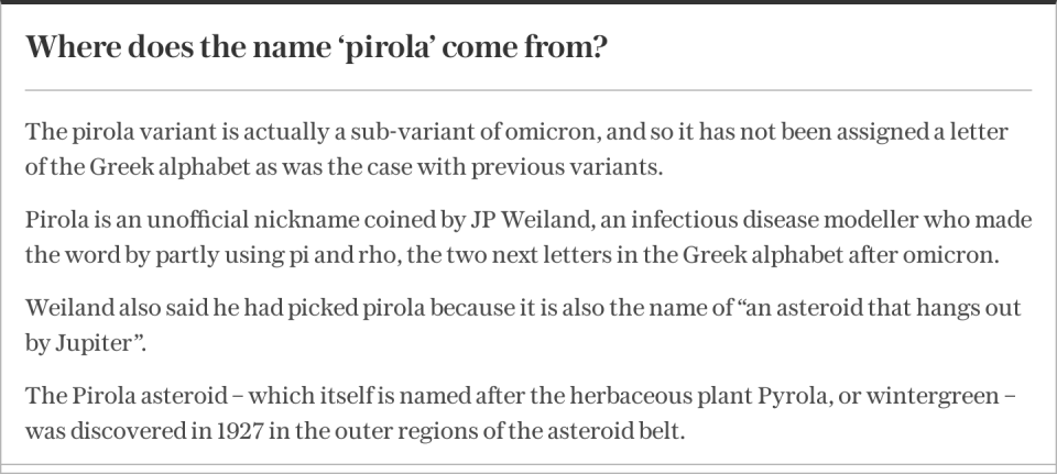 Where does the name ‘pirola’ come from?