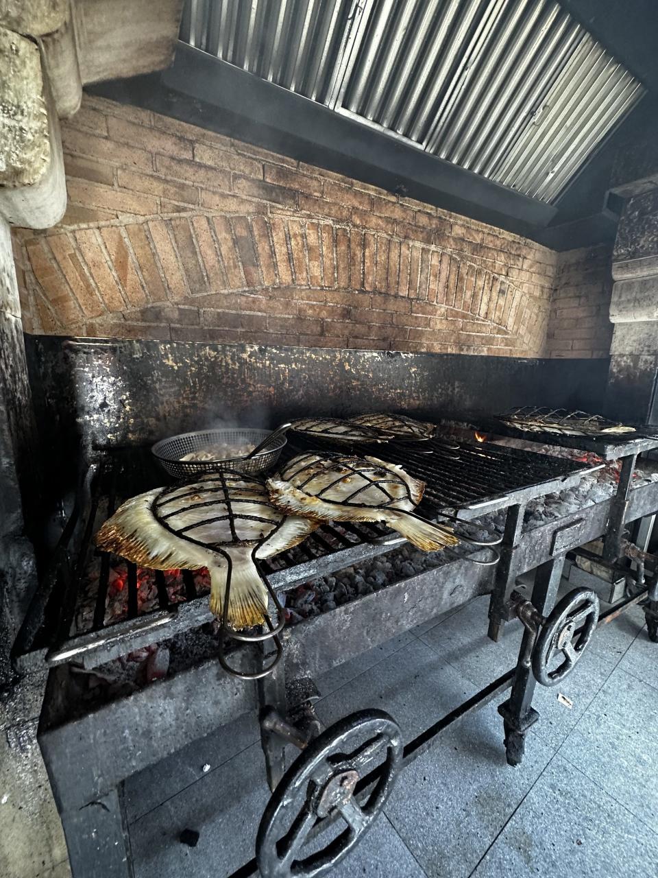 Asador vasco, para cocinar pescado 