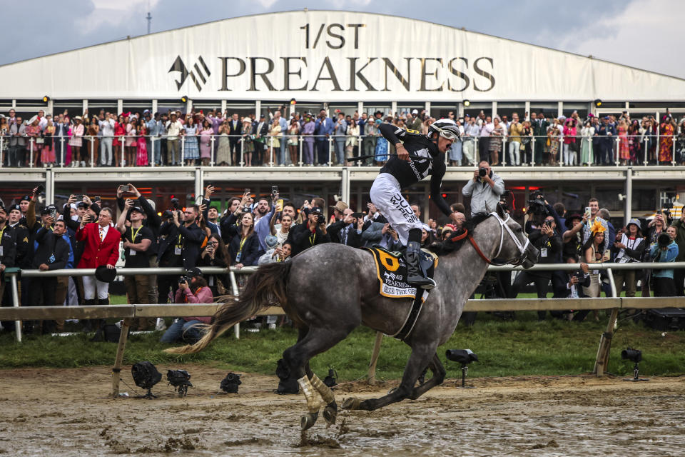 BALTIMORE, MARYLAND - MAY 18: Jockey Jaime Torres riding Seize the Grey #6 celebrates after winning the 149th running of the Preakness Stakes at Pimlico Race Course on May 18, 2024 in Baltimore, Maryland. (Photo by Samuel Corum/Getty Images)
