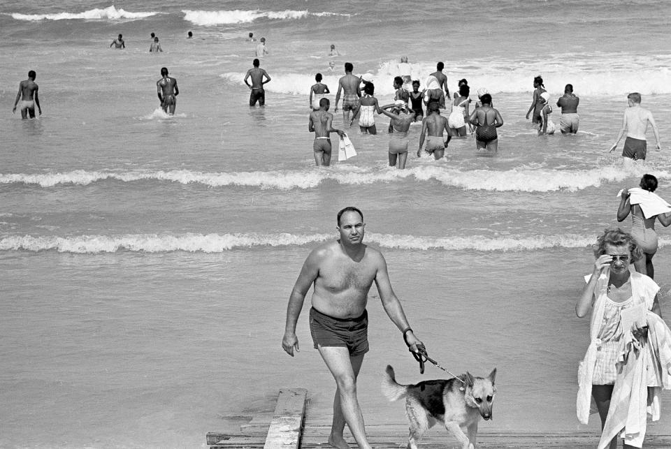 A policeman with a dog walks along the shoreline as Black people swim on St. Augustine Beach, June 19, 1964, on the second day of integration at the beach.