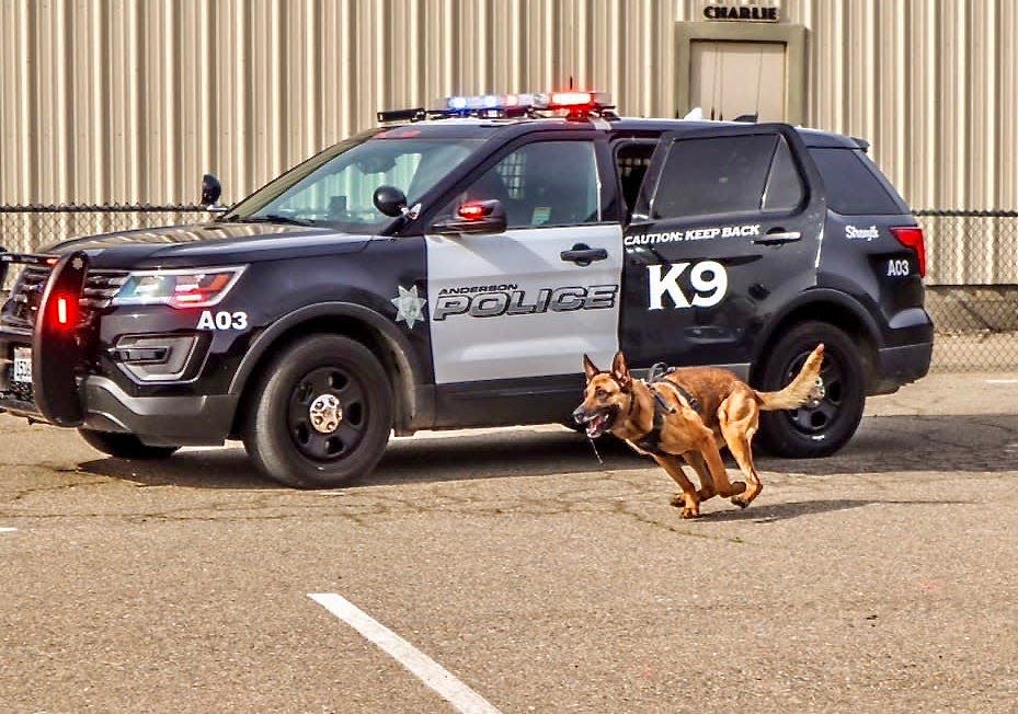 Aero, a retired police canine with the Anderson Police Department, has died at the age of 10. He joined the department in 2013 as a patrol and narcotics detection canine.