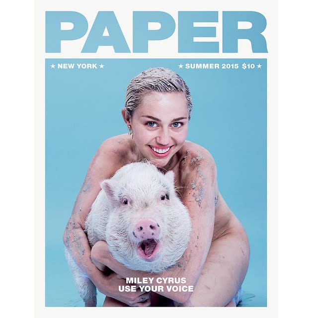 Have you ever seen a happier Miley Cyrus? The 22-year-old "We Can't Stop" singer was able to combine two of her favorite things for the cover of <em>Paper</em> magazine's Summer 2015 issue -- animals and getting naked! Miley's covered in mud and goes sans underwear in the racy shot by photographer Paola Kudacki, in which she cuddles up with a pig. <strong>PHOTO: Stars In Their Underwear</strong> In a preview of the upcoming article, on newstands June 22nd, Miley talks about her love for showing some skin. "I was doing a show two nights ago, and I was wearing butterfly nipple pasties and butterfly wings," she recalls. "I'm standing there with my t*ts out, dressed like a butterfly. How the f**k is that fair? How am I so lucky?" The "Wrecking Ball" singer actually teased the unconventional cover on Sunday, Instagramming this shot of her flaunting her cleavage in nothing but a white robe, while wearing a pig mask. The <em>Paper </em>mag interview will focus on Miley's Happy Hippie Foundation, her nonprofit dedicated to helping homeless and LGBT kids. <strong>WATCH: Miley Cyrus Poses Nude in NSFW Polaroids</strong> Say what you will about Miley, but the controversial singer undeniably has a big heart when it comes to animals. Check out a devastated Miley crying last month, while singing about her dead blowfish Pablow.
