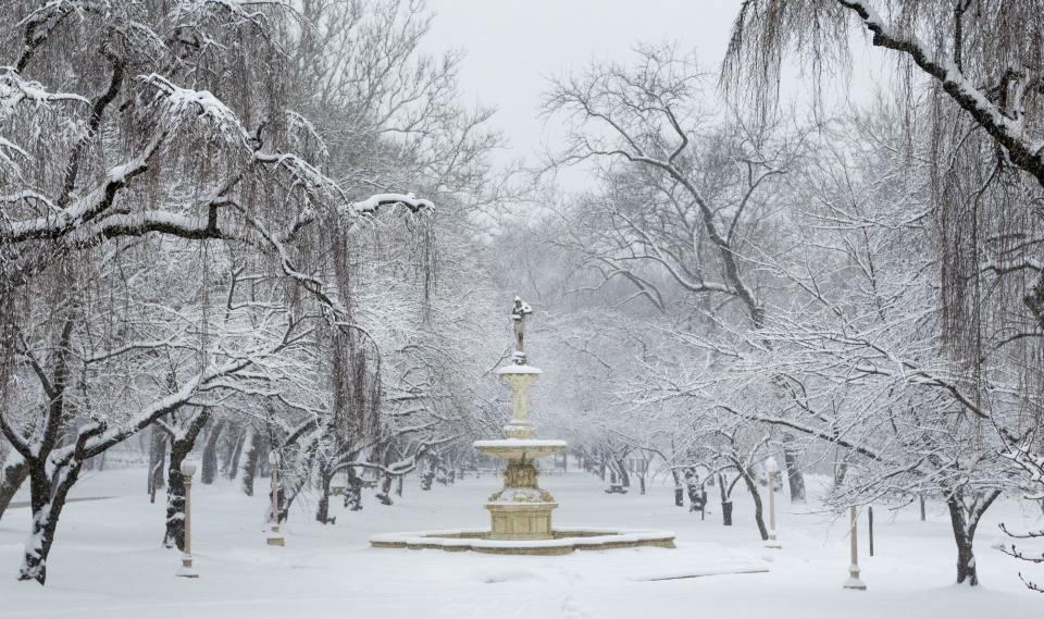 Snow coats the trees around the Josephine Fountain in Brandywine Park in Wilmington.