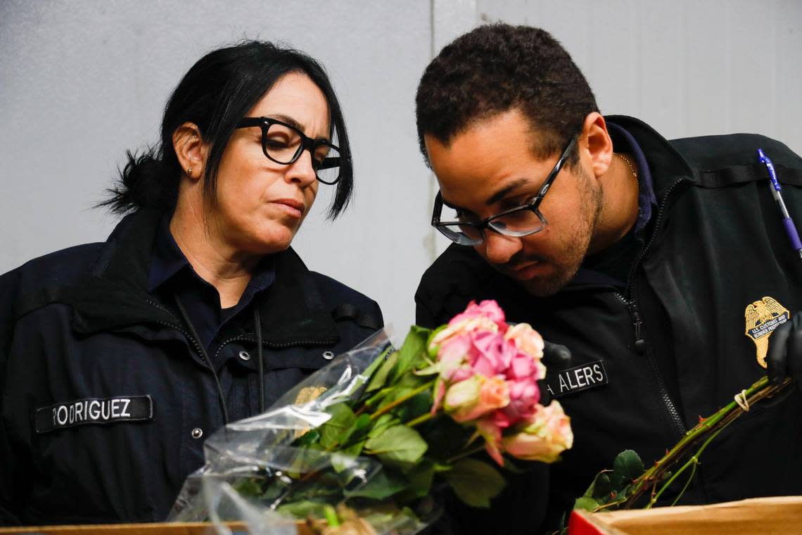 Agriculture specialists for U.S. Customs and Border Protection inspect flowers arriving at Miami International Airport for harmful pests on Monday, Feb. 6, 2023.