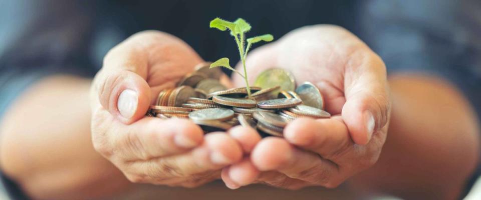 Man in black shirt holding coins with small tree, growing on money