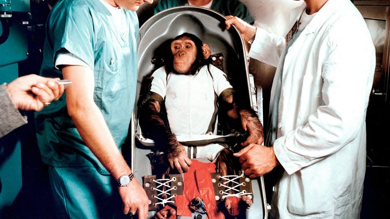 <strong>Ham the juvenile chimp with trainers at Cape Canaveral, Florida, on January 31, 1961.</strong> - Photo: NASA