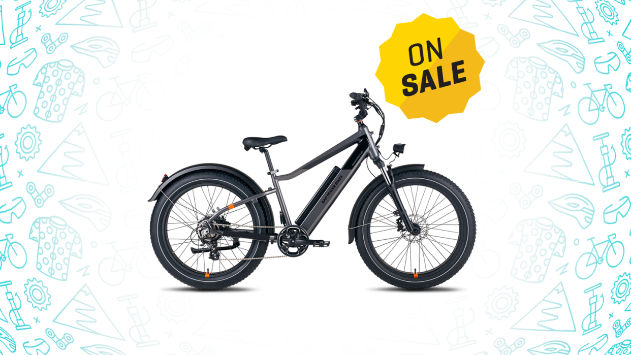 radrover 6 plus electric fat tire bike