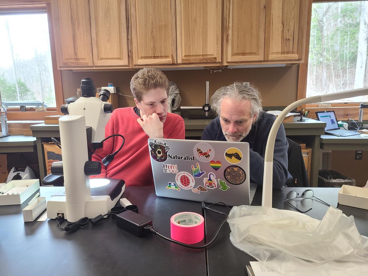 Zachary Dankowicz and Bradley Sinclair work to identify a perplexing Lepidodexia hirculus specimen during the Fly ID Blitz March 1-3, 2024, at the Twin Creeks Science and Education Center in Great Smoky Mountains National Park.