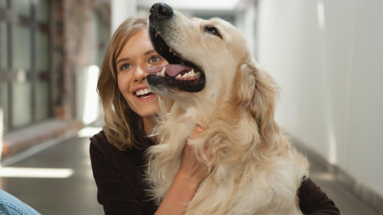  Woman petting Golden Retriever 