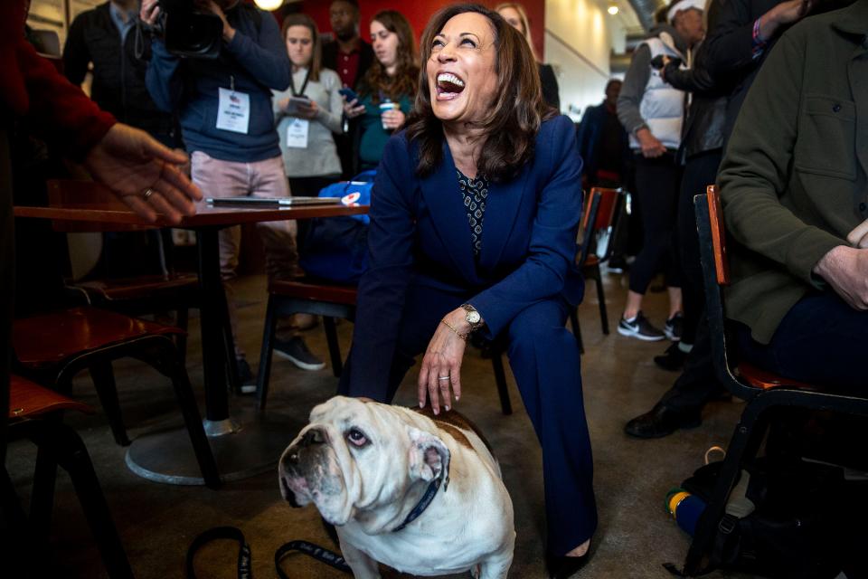 U.S. Sen. Kamala Harris, D-Calif., meets Griff, the living mascot of Drake University, while making a campaign stop on April 11, 2019, to Mars Cafe in Des Moines' Drake neighborhood.