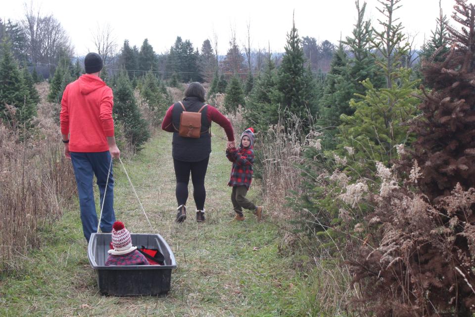 Gavin Haswell turns around before he runs off to find the perfect Christmas tree.