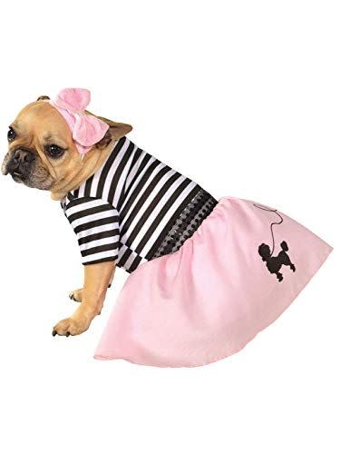 '50s Pet Costume Idea