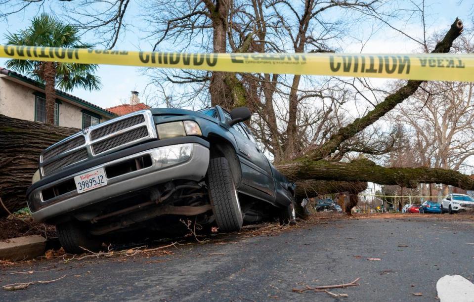 The front wheel of a truck on 24th Avenue in Curtis Park is suspended above the ground on Sunday, Jan. 8, 2022, after a tree fell across the street, crushing the back of the vehicle – and another pickup behind it. A storm with high winds knocked out power to more than 300,000 residents of Sacramento County. Nathaniel Levine/nlevine@sacbee.com