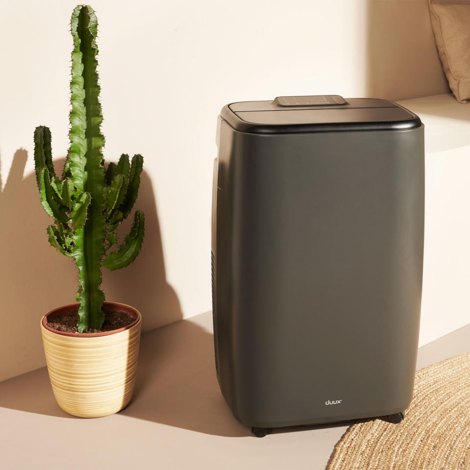 The dark grey Duux North 9K Smart Air Conditioner next to a cactus plant