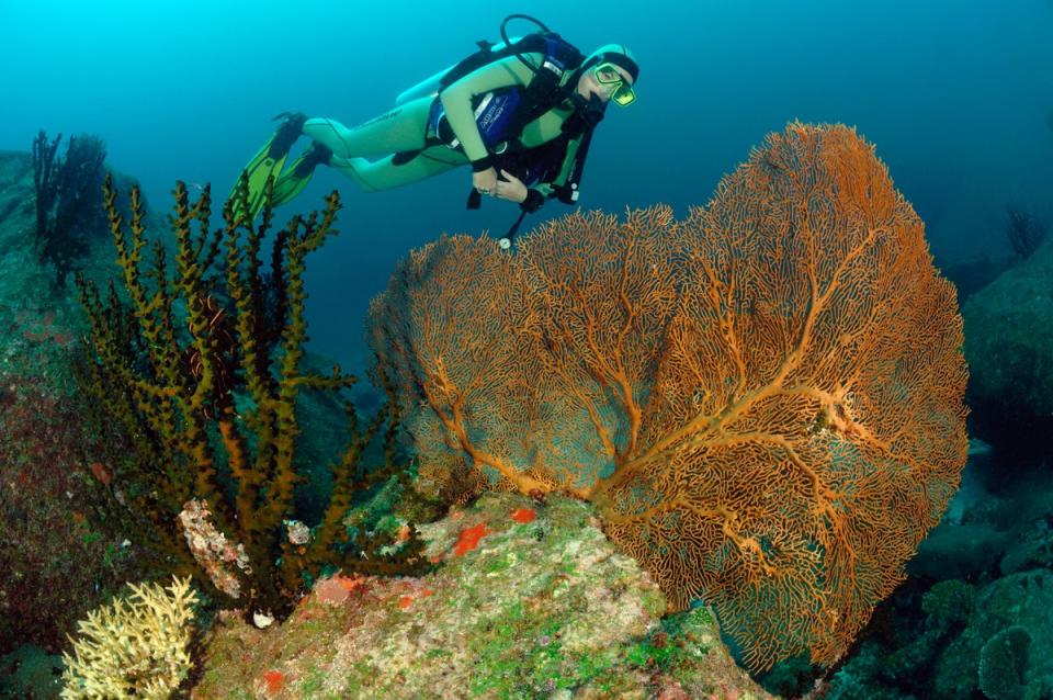 Explore the lagoons and jungle of the beautifully wild Surin Islands (Alamy Stock Photo)