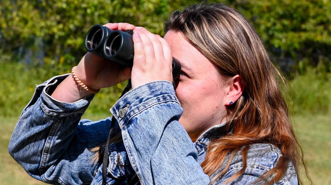 Emily Connor, education manager at the Audubon Center at Riverlands, looks through her binoculars to try to identify a bird in a nearby tree on Sept. 12 in West Alton.
