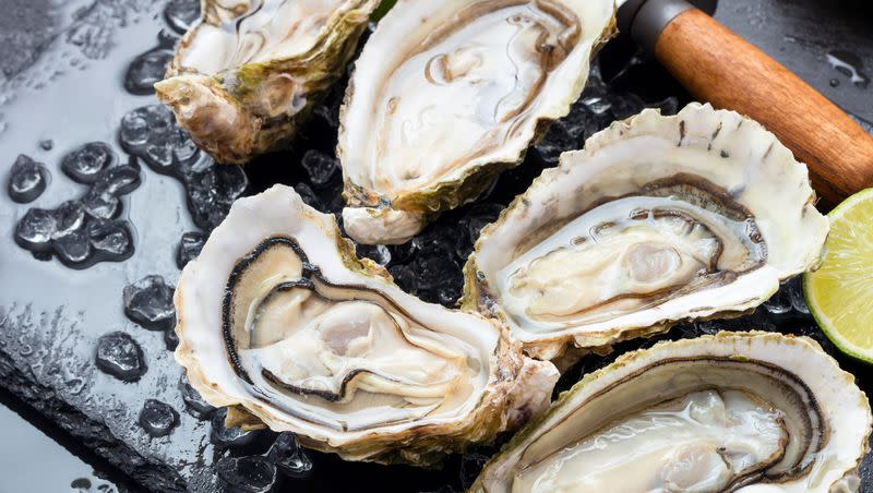 Several oyster shells are pictured. A Texas man has died of a bacterial infection caused by Vibrio vulnificus after eating unsafe oysters earlier this month. 