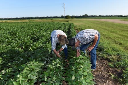 Paul and Vanessa Kummer check soybeans near Colfax, North Dakota