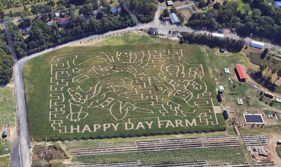 corn maze near me